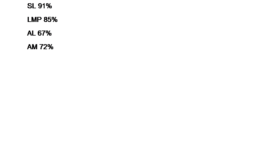 Tekstboks: SL 91%
LMP 85%
AL 67%
AM 72%


